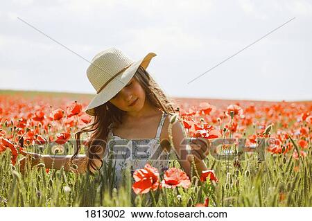 Serene girl picking red poppies in sunny, idyllic rural field View Large Photo Image Stock Image - Serene girl picking red poppies in sunny, idyllic rural field. Fotosearch