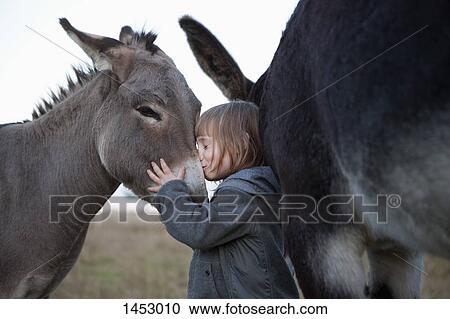 Stock Image - Side view of cute girl kissing donkey on field. Fotosearch