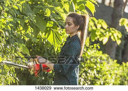Stock Photo - Side view of woman cutting plants with hedge clipper at yard. Fotosearch
