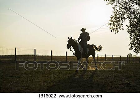 Silhouette cowboy riding horse on rural ranch View Large Photo Image Stock Image - Silhouette cowboy riding horse on rural ranch. Fotosearch
