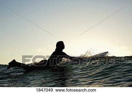 Silhouette female surfer paddling out View Large Photo Image Stock Photo - Silhouette female surfer paddling out. Fotosearch