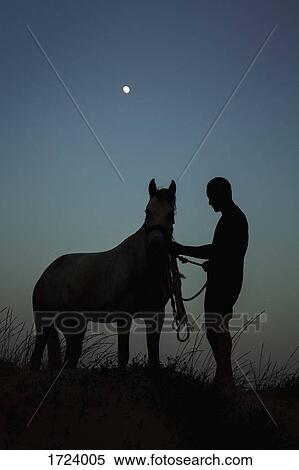 Silhouette man standing with horse on field against blue sky at dusk View Large Photo Image Stock Photography - Silhouette man standing with horse on field against blue sky at dusk. Fotosearch