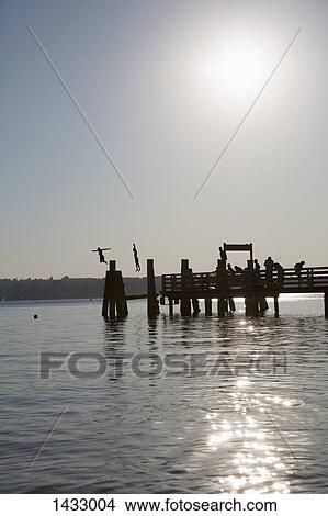 Silhouette people jumping in lake against sky at dusk View Large Photo Image Picture - Silhouette people jumping in lake against sky at dusk. Fotosearch