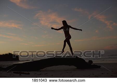 Silhouette woman walking on driftwood on beach at dusk View Large Photo Image Stock Image - Silhouette woman walking on driftwood on beach at dusk. Fotosearch