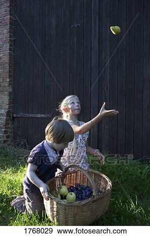 Stock Photo - Sisters harvesting apples and pears. Fotosearch
