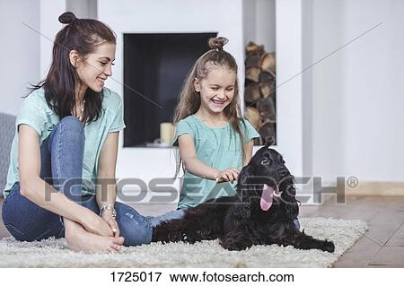 Smiling mother looking at daughter brushing dog hair in living room at home View Large Photo Image Stock Photo - Smiling mother looking at daughter brushing dog hair in living room at home. Fotosearch
