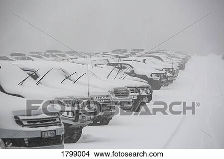 Picture - Snow covering parked cars in full parking lot. Fotosearch