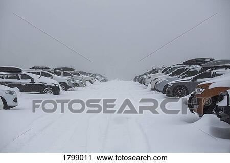 Snow covering parked cars in full parking lot View Large Photo Image Stock Image - Snow covering parked cars in full parking lot. Fotosearch