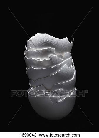 Stock Image - Stack of broken eggshell on black background. Fotosearch