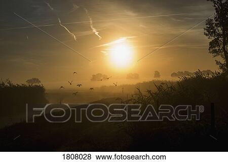Sunrise over idyllic, tranquil farmland View Large Photo Image Stock Photo - Sunrise over idyllic, tranquil farmland. Fotosearch