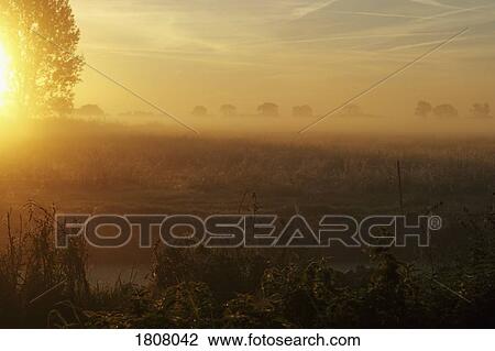 Sunrise over tranquil, idyllic farmland View Large Photo Image Stock Image - Sunrise over tranquil, idyllic farmland. Fotosearch