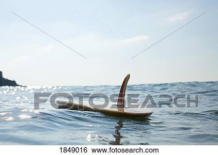 Surfboard floating on sunny blue ocean View Large Photo Image Stock Photograph - Surfboard floating on sunny blue ocean. Fotosearch