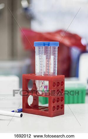 Stock Image - Test tubes in red rack on table at laboratory. Fotosearch
