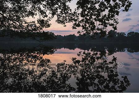 Stock Photo - Tranquil silhouette reflection of trees in placid sunset lake, Luetjensee, Germany. Fotosearch