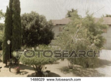 Trees seen through wire mesh on window View Large Photo Image Stock Photo - Trees seen through wire mesh on window. Fotosearch