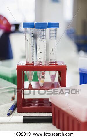 Stock Photo - Various samples in test tubes on rack at laboratory. Fotosearch