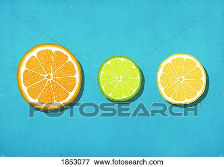Stock Photo - Vibrant citrus slices on blue background. Fotosearch