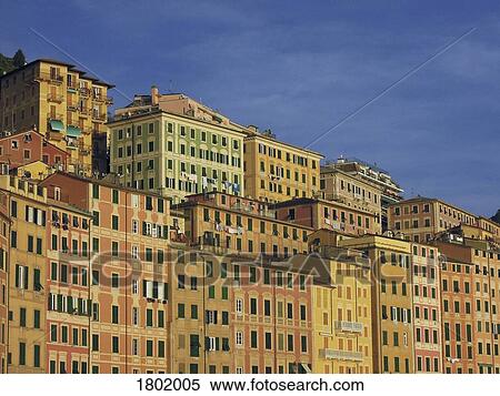 Vibrant yellow and orange buildings, Camogli, Liguria, Italy View Large Photo Image Stock Photography - Vibrant yellow and orange buildings, Camogli, Liguria, Italy. Fotosearch