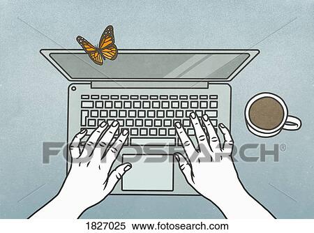 View from above butterfly landing on laptop View Large Photo Image Stock Photography - View from above butterfly landing on laptop. Fotosearch
