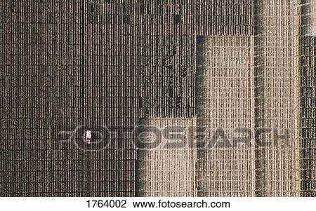 View from above combine harvester harvesting crop View Large Photo Image Stock Image - View from above combine harvester harvesting crop. Fotosearch