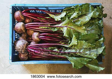 View from above organic beets and beetroot in crate View Large Photo Image Picture - View from above organic beets and beetroot in crate. Fotosearch