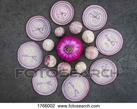 View from above round red onion and purple garlic arrangement View Large Photo Image Stock Image - View from above round red onion and purple garlic arrangement. Fotosearch