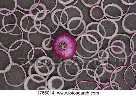 View from above round red onion arrangement View Large Photo Image Picture - View from above round red onion arrangement. Fotosearch