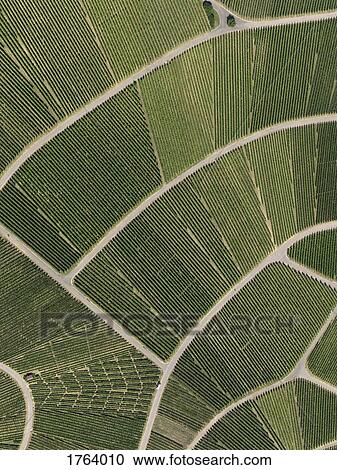 View from above textured green crops View Large Photo Image Stock Image - View from above textured green crops. Fotosearch