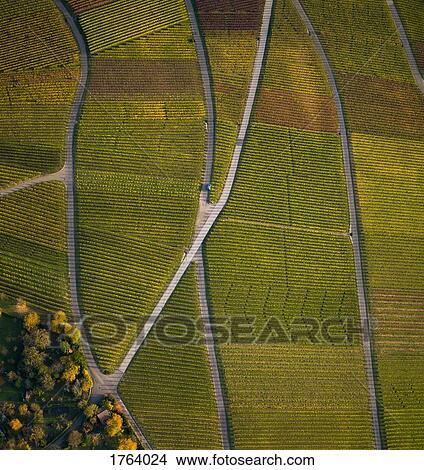 View from above textured green farmland crops View Large Photo Image Picture - View from above textured green farmland crops. Fotosearch