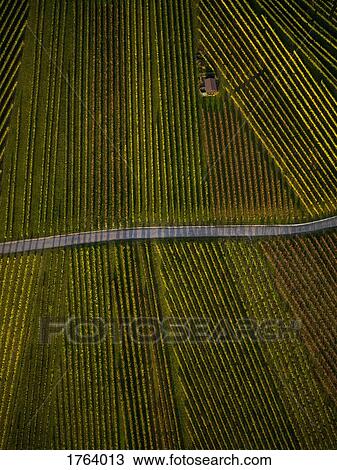View from above textured green farmland crops View Large Photo Image Stock Image - View from above textured green farmland crops. Fotosearch