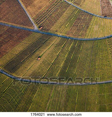 View from above textured green farmland crops View Large Photo Image Stock Image - View from above textured green farmland crops. Fotosearch