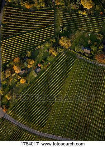 Stock Photo - View from above textured green farmland crops. Fotosearch