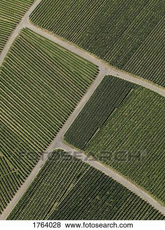 View from above textured green farmland crops View Large Photo Image Stock Photo - View from above textured green farmland crops. Fotosearch