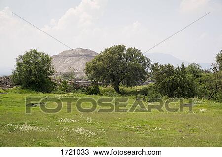 Stock Image - View of field with Sun Pyramid in background, Teotihuacan, Mexico. Fotosearch