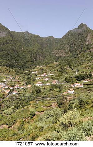 Stock Photo - View of terraced field with houses, Sao Vicente, Madeira, Portugal. Fotosearch