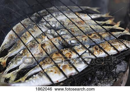 Whole sardines cooking on barbecue grill View Large Photo Image Stock Photograph - Whole sardines cooking on barbecue grill. Fotosearch