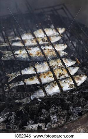 Stock Photography - Whole sardines cooking on barbecue grill. Fotosearch