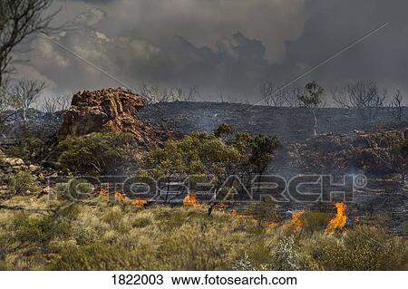Wildfire burning, East McDonnell Ranges, Alice Springs, Northern Territory, Australia View Large Photo Image Stock Image - Wildfire burning, East McDonnell Ranges, Alice Springs, Northern Territory, Australia. Fotosearch