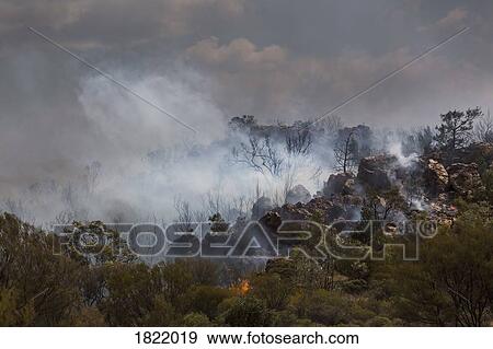 Wildfire burning, East McDonnell Ranges, Alice Springs, Northern Territory, Australia View Large Photo Image Stock Photo - Wildfire burning, East McDonnell Ranges, Alice Springs, Northern Territory, Australia. Fotosearch