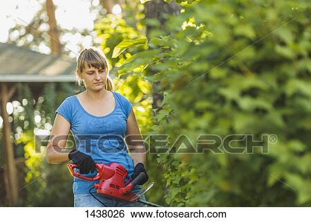 Woman cutting plants with hedge clipper at yard View Large Photo Image Stock Photograph - Woman cutting plants with hedge clipper at yard. Fotosearch