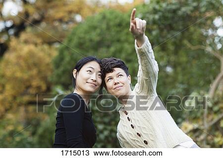 Woman looking away while pointing and showing to friend at park View Large Photo Image Stock Image - Woman looking away while pointing and showing to friend at park. Fotosearch