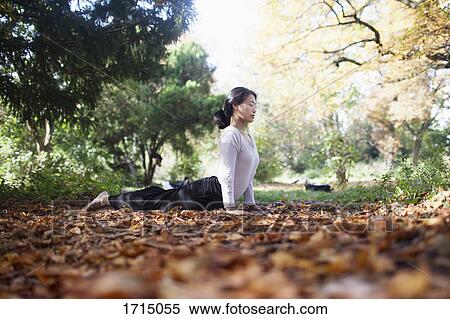 Woman performing yoga while lying on dry leaves by trees at park View Large Photo Image Stock Photography - Woman performing yoga while lying on dry leaves by trees at park. Fotosearch