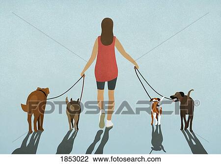 Woman walking four dogs on leashes View Large Photo Image Stock Image - Woman walking four dogs on leashes. Fotosearch
