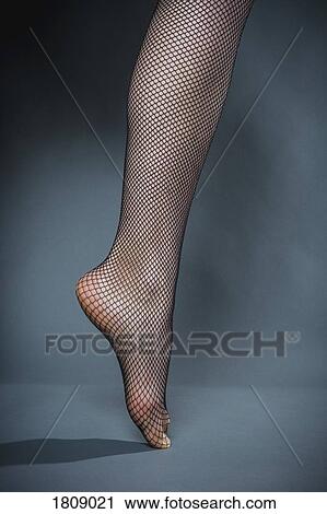 Womans leg in fishnet stocking View Large Photo Image Stock Image - Womans leg in fishnet stocking. Fotosearch