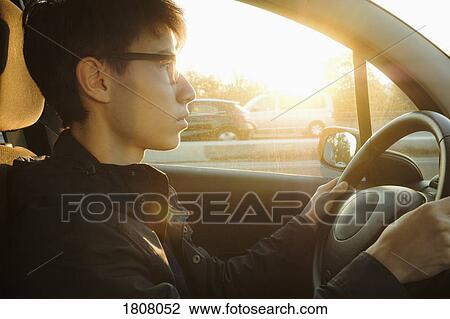 Young man driving car on sunny road View Large Photo Image Stock Image - Young man driving car on sunny road. Fotosearch