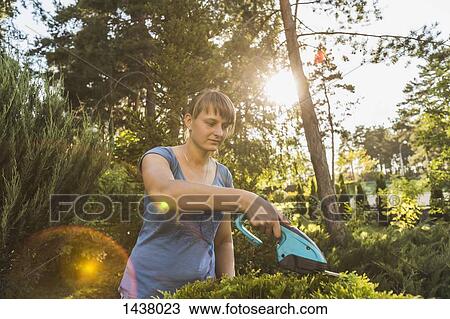 Stock Image - Young woman cutting plants at yard. Fotosearch