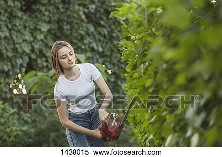 Young woman cutting plants with hedge clipper at yard View Large Photo Image Stock Photography - Young woman cutting plants with hedge clipper at yard. Fotosearch