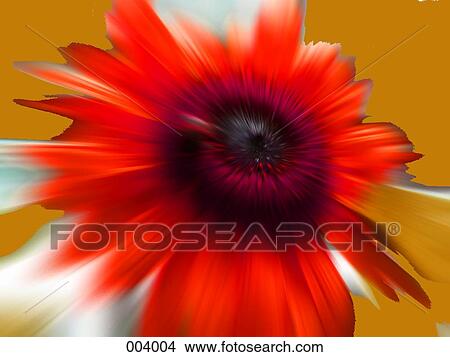 a bright red and pink flower with a mustard yellow background View Large Photo Image Picture - a bright red and pink flower with a mustard yellow background. Fotosearch