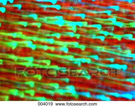 Stock Photo - abstract shooting lights image. Fotosearch
