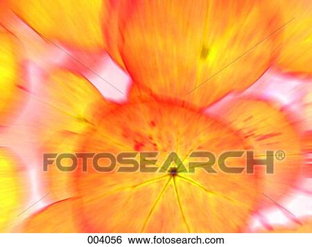 abstract starburst image View Large Photo Image Stock Photograph - abstract starburst image. Fotosearch